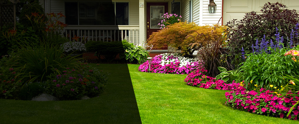 Carmi Landscapers