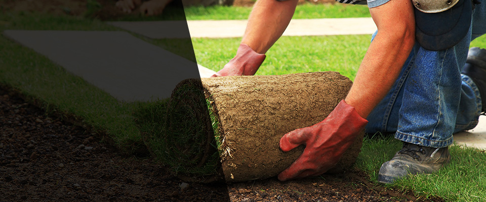 Carmi Landscapers